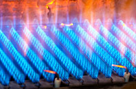 Isle Abbotts gas fired boilers